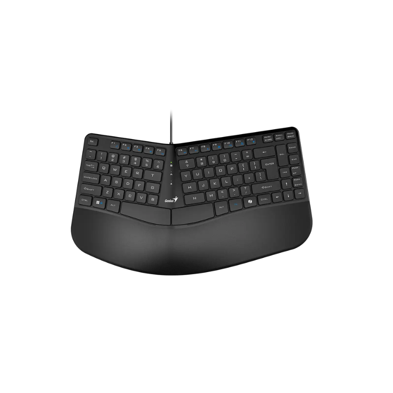 Teclado Genius Ergo KB-700 BLACK ESPAÑOL USB